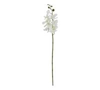 Hill Interiors Butterfly Orchid Artificial Flower - White - 52cm x 9cm x 9cm - White