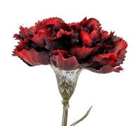 Hill Interiors Carnation Artificial Flower in Burgundy Hill Interiors Burgundy
