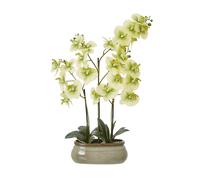 Hill Interiors Ceramic Orchid Artificial Potted Plant Green (73Cm X 9Cm X 52Cm)
