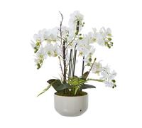Hill Interiors Ceramic Orchid Flower Pot White (76Cm X 60Cm X 65Cm)