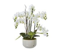 Hill Interiors Ceramic Orchid Flower Pot - White - 76cm x 60cm x 65cm