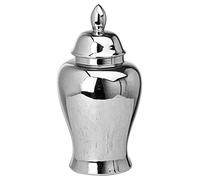 Chrome Ginger Jar