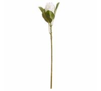 Hill Interiors Closed Protea Artificial Flower (Single Stem) - L12 X W8 X H67 Cm - White