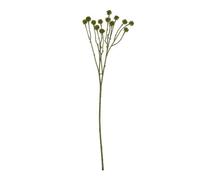 Hill Interiors Craspedia Artificial Plant Green (One Size)