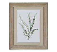 Hill Interiors Delicate Fern Watercolour Wood Framed Art Print in Dark Brown Hill Interiors Dark Brown