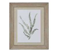 Hill Interiors Delicate Fern Watercolour Wood Framed Art Print In Dark Brown Dark Brown One Size