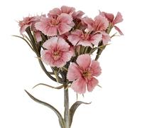 Hill Interiors Dianthus Artificial Flower Spray Pink (One Size)
