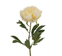 Hill Interiors Double Peony Artificial Plant - Cream/Buttermilk - One Size