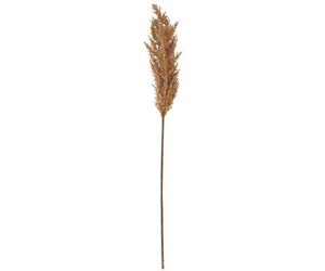 Hill Interiors Dried Pampas Gr Artificial Flower Taupe (One Size)