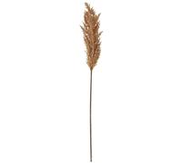 Hill Interiors Dried Pampas Grass Artificial Flower - Taupe - One Size