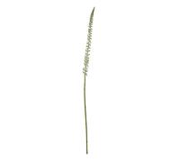 Hill Interiors Eremurus Stem Artificial Plant - White - One Size - White - 100% Mixed