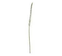 Hill Interiors Eremurus Stem Artificial Plant - White - One Size - White