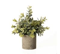 Hill Interiors Eucalyptus Artificial Plant - Green - 23cm x 19cm x 19cm - Green - 100% Mixed