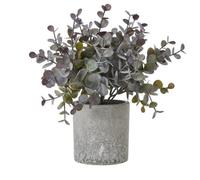 Hill Interiors Eucalyptus Cinerea Artificial Plant Green/green (22Cm)