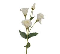 Hill Interiors Eustoma Artificial Flower Spray - White - One Size