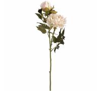 Hill Interiors Fashion Peony Artificial Flower - Fabric/plastic - L26 X W26 X H52 Cm - White