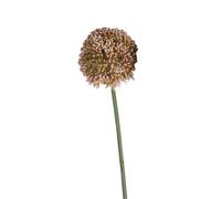 Hill Interiors Faux Allium Spray - Pink/Green - 63cm