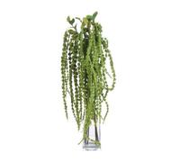 Hill Interiors Faux Amaranthus Green (1M)
