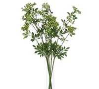 Hill Interiors Faux Ammi Green (One Size)