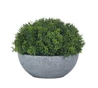 Hill Interiors Faux Hebe Globe Pot - Green/Grey - 15cm - Green/Grey - 100% Plastic