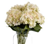 Hill Interiors Faux Hydrangea Bouquet - Cream/Green - One Size - Cream/Green - 100% Mixed