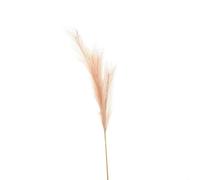 Hill Interiors Faux Pampas Grass Stem Artificial Plant - Fabric/plastic - L30 X W30 X H85 Cm