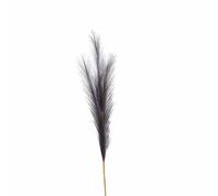 Hill Interiors Faux Pampas Grass Stem Artificial Plant - Fabric/plastic - L30 X W30 X H85 Cm - Grey