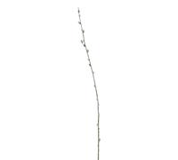 Hill Interiors Faux Pussy Willow Branch - Brown/Green - 103cm