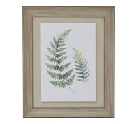 Hill Interiors Fern Duo Wood Framed Art Print in White Hill Interiors White
