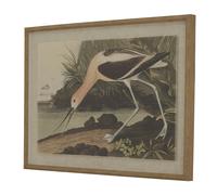 Hill Interiors Flora & Fauna Collection Avocet Linen Framed 45cm x 2cm x 62cm Mu