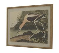 Hill Interiors Flora & Fauna Collection Avocet Linen Framed Wall Art - Multicoloured - Multicoloured - 45cm x 2cm x 62cm