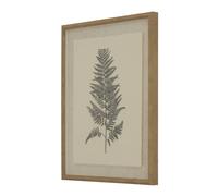 Hill Interiors Flora & Fauna Collection Beech Fern Linen Framed Wall Art In White White