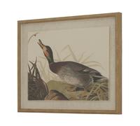 Hill Interiors Flora & Fauna Collection Duck Linen Framed Art Print - Multicoloured - 50cm x 2cm x 40cm