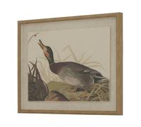 Hill Interiors Flora & Fauna Collection Duck Linen Framed Art Print - Multicoloured - 50cm x 2cm x 40cm