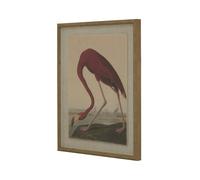 Hill Interiors Flora & Fauna Collection Flaming Linen Framed Wall Art - Multicoloured - Multicoloured - 50cm x 2cm x 40cm