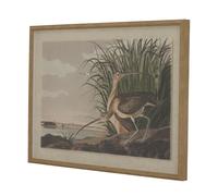 Hill Interiors Flora & Fauna Collection Picture Beaded Lined Framed Wall Art - Brown/White/Green - Brown/White/Green - 45cm x 2cm x 62cm - Brown/White/Green