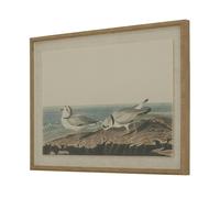 Hill Interiors Flora & Fauna Collection Plovers Beaded Linen Framed Wall Art - Brown/White/Blue - Brown/White/Blue - 45cm x 2cm x 62cm