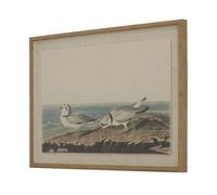 Hill Interiors Flora & Fauna Collection Plovers Beaded Linen Framed Wall Art In Brown Brown