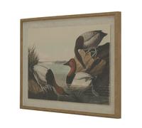 Hill Interiors Flora & Fauna Collection Pochards Beaded Linen Framed Wall Art - Brown/White/Black - Brown/White/Black - 45cm x 2cm x 62cm