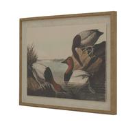 Hill Interiors Flora & Fauna Collection Pochards Beaded Linen Framed Wall Art In Dark Brown Dark Brown
