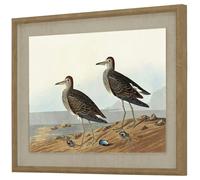 Hill Interiors Flora & Fauna Collection Sandpipers Beaded Linen Framed Wall Art - Brown/White/Blue - Brown/White/Blue - 50cm x 2cm x 40cm