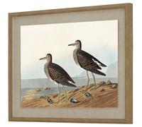 Hill Interiors Flora & Fauna Collection Sandpipers Beaded Linen Framed Wall Art In Brown Brown