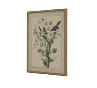 Hill Interiors Flora & Fauna Collection Shrikes Beaded Linen Framed Wall Art - Brown/White/Green - Brown/White/Green - 50cm x 2cm x 40cm