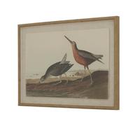 Hill Interiors Flora & Fauna Collection Snipes Beaded Linen Framed Wall Art In Dark Brown Dark Brown