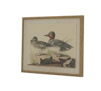 Hill Interiors Flora & Fauna Collection Teals Beaded Linen Framed Wall Art - Brown/White/Black - Brown/White/Black - 50cm x 2cm x 40cm