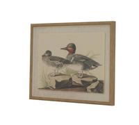 Hill Interiors Flora & Fauna Collection Teals Beaded Linen Framed Wall Art In Dark Brown Dark Brown