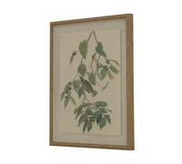 Hill Interiors Flora & Fauna Collection Warblers Beaded Linen Framed Wall Art - Brown/White/Green - Brown/White/Green - 50cm x 2cm x 40cm