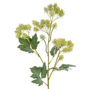 Hill Interiors French Meadow Rue Artificial Flower Spray Green (One Size)