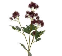Hill Interiors French Meadow Rue Artificial Flower Spray Purple (One Size)