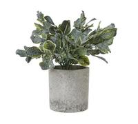 Hill Interiors Giana Eucalyptus Artificial Plant Green (20Cm)